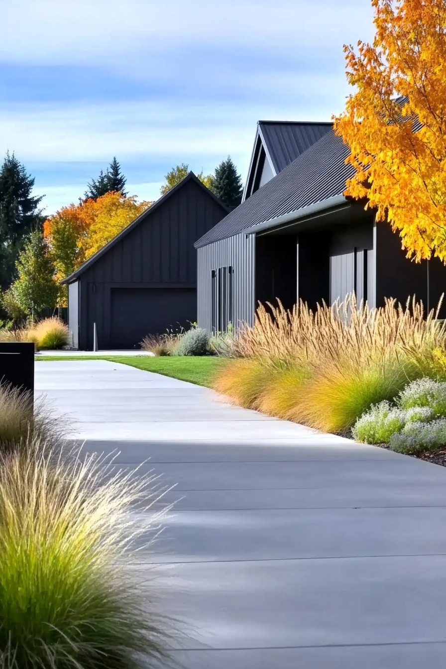 Ornamental Grasses Along the Driveway