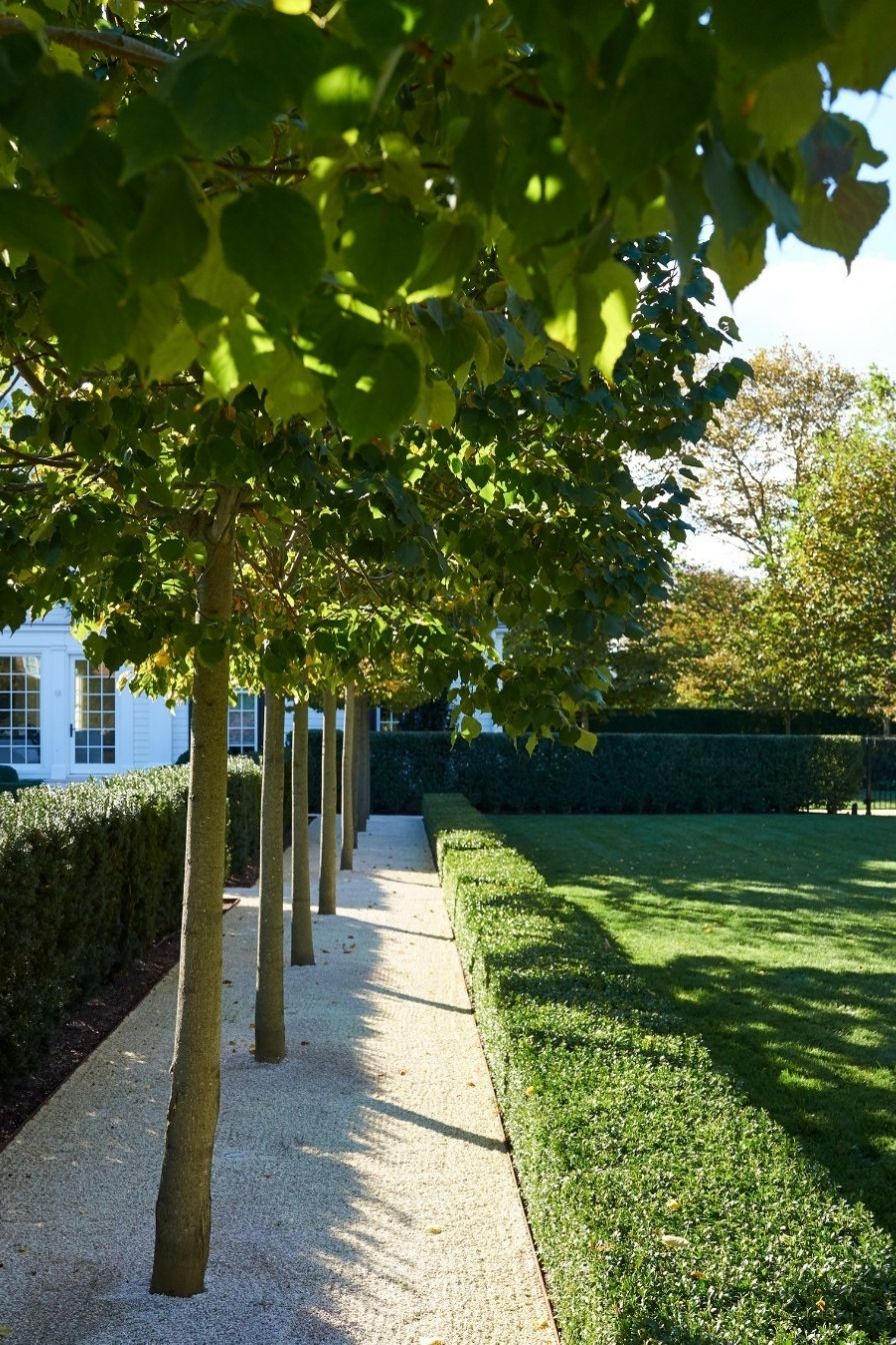 Boxwood Garden Borders