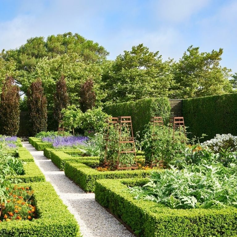 Boxwood in Raised Garden Beds