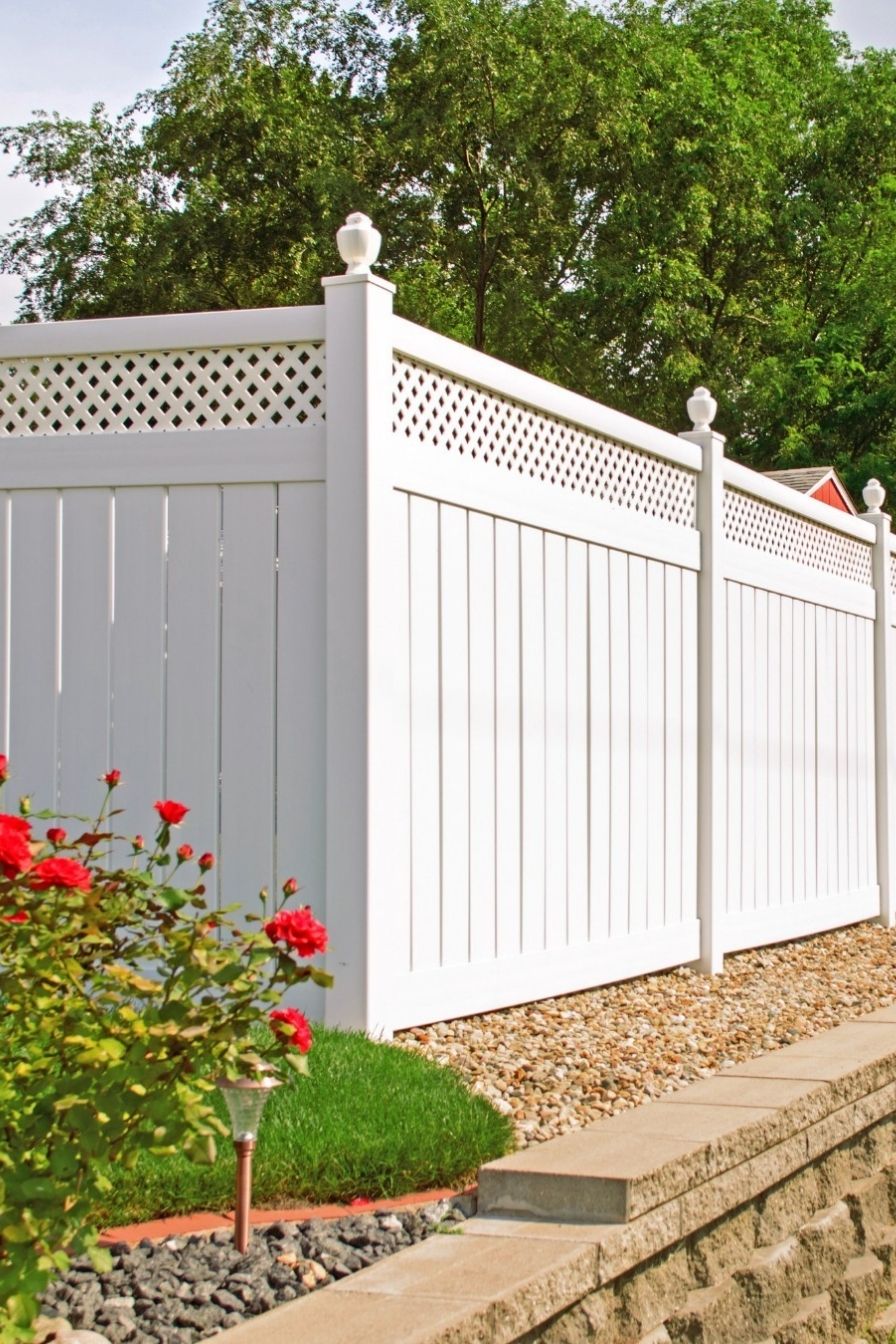 Painted Fence