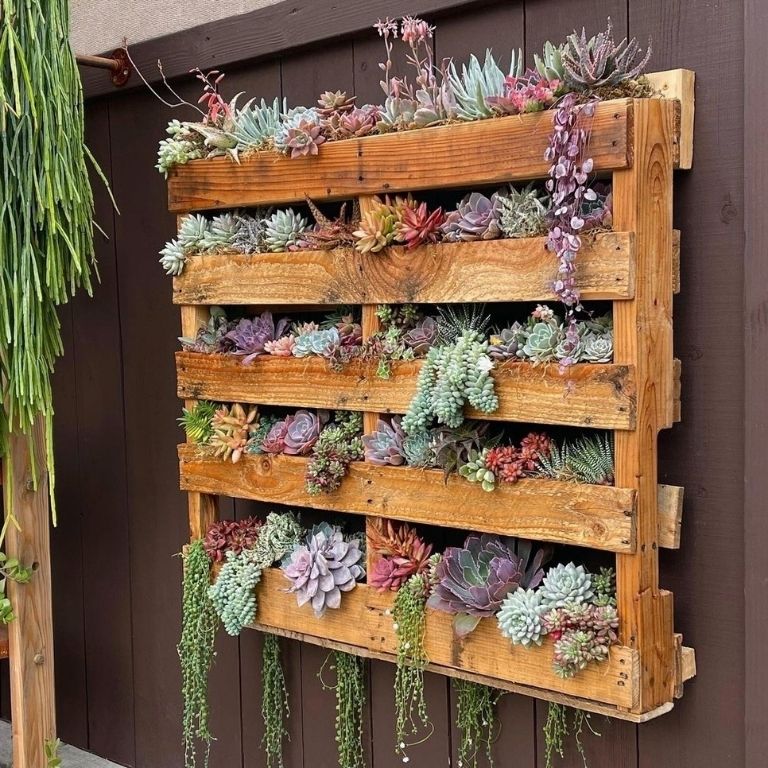 Vertical Pallet Garden